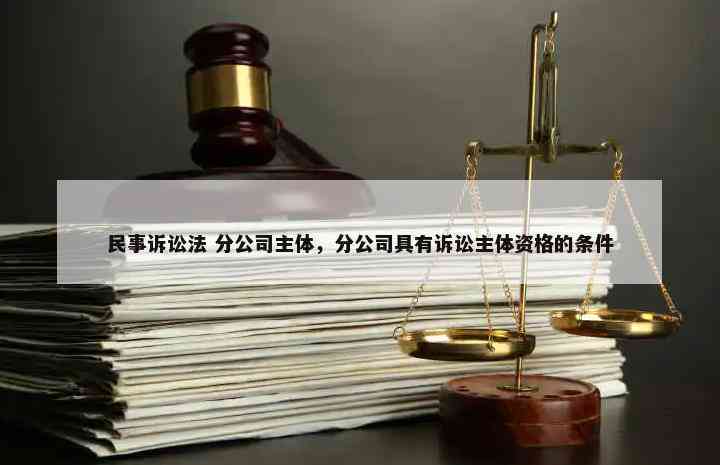 探讨支公司能否作为合格的诉讼主体参与法律诉讼