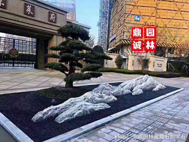 庭院文案朋友圈怎么发吸引人：分享庭院景色与文案的秘诀