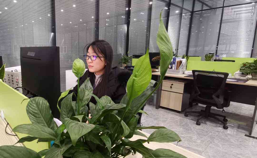 全面攻略：朋友圈工工地传文案与实用技巧指南