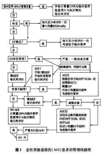 全面解读：工伤等级认定的标准与流程及如何评估工伤严重程度