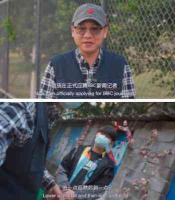 指南文章：引用方法、结构样式、摘录撰写与风格特点解析及原文展示