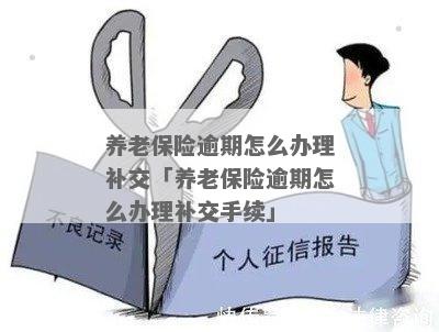 逾期一个月保险如何补缴手续及流程指南