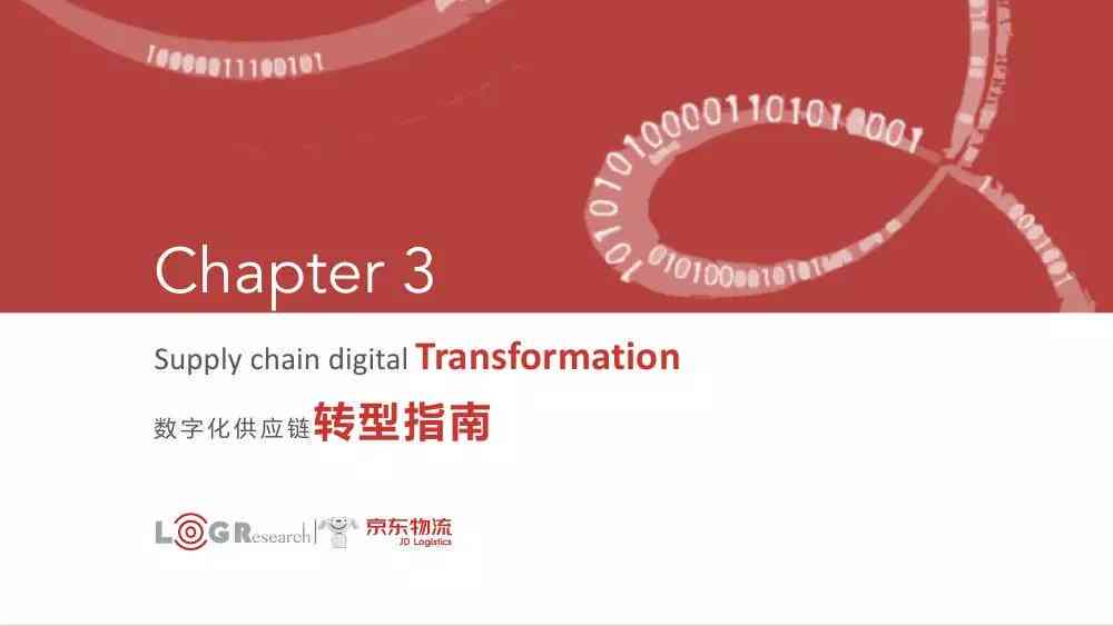 '关键领域案例分析报告：经典案例深度回顾与启示'