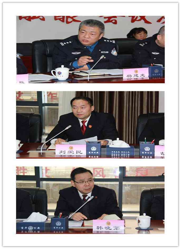 法律实务指南：案件定性与法律适用深度解析写作教程