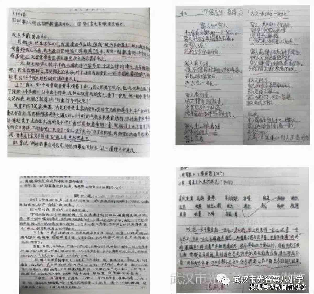 探索语文课程教学策略与创新实践专题