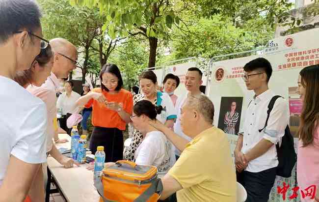 新创企业是：定义、发展阶、社会责任与组织构成概述