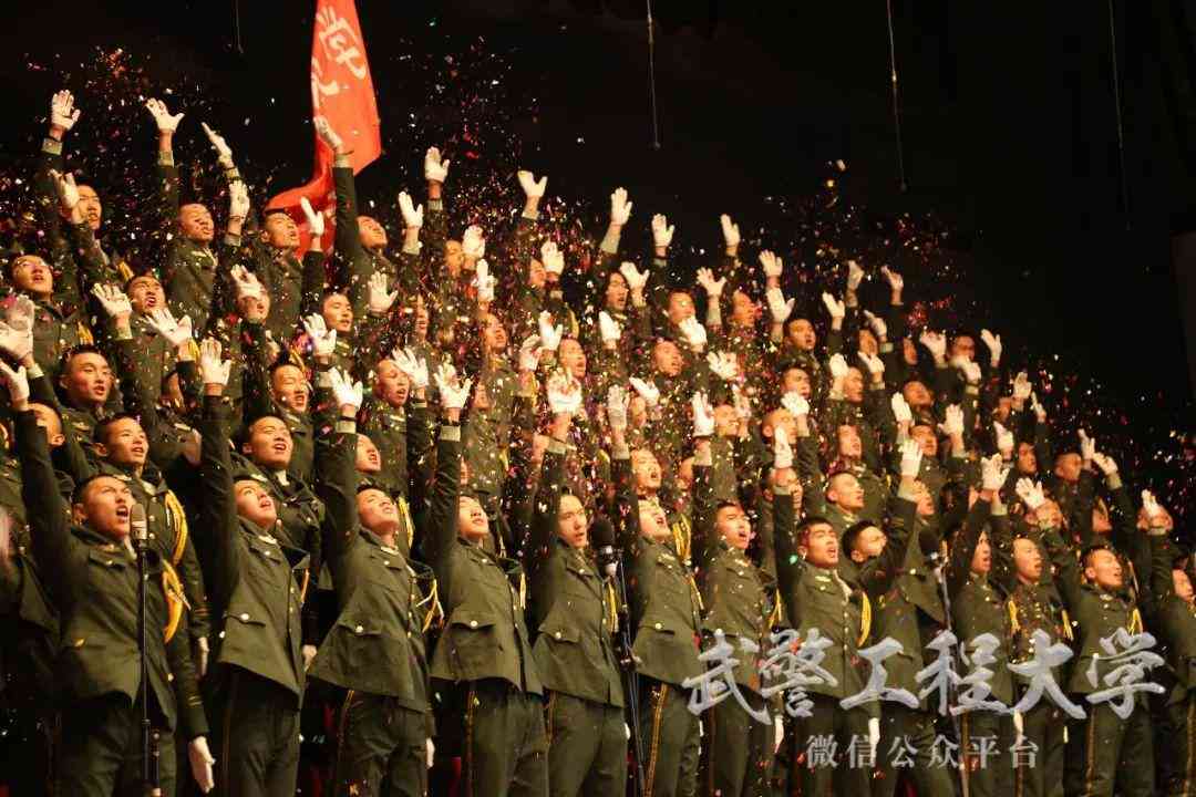 新创企业是：定义、发展阶、社会责任与组织构成概述
