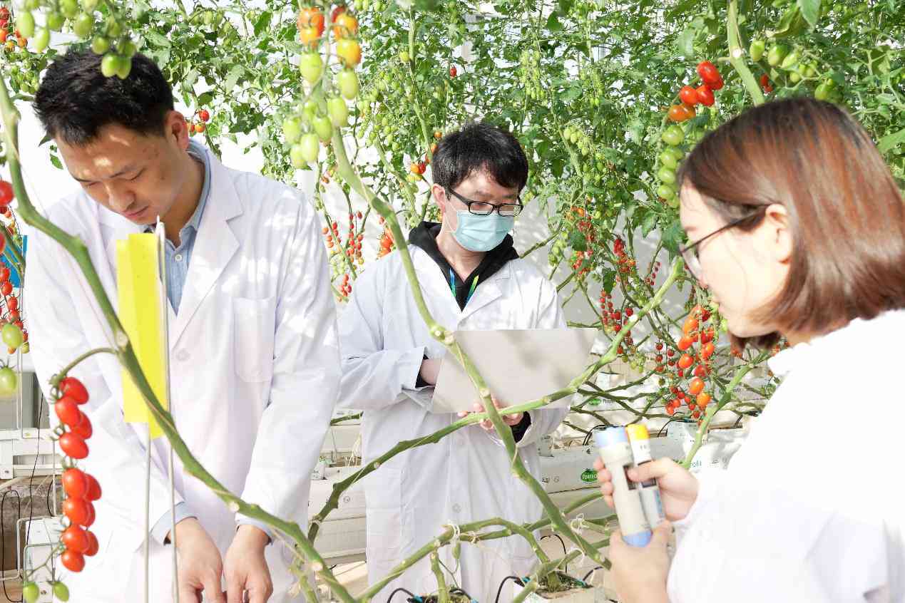 番茄作者平台对AI写作的态度与政策：全面解析AI在创作中的使用规范与限制