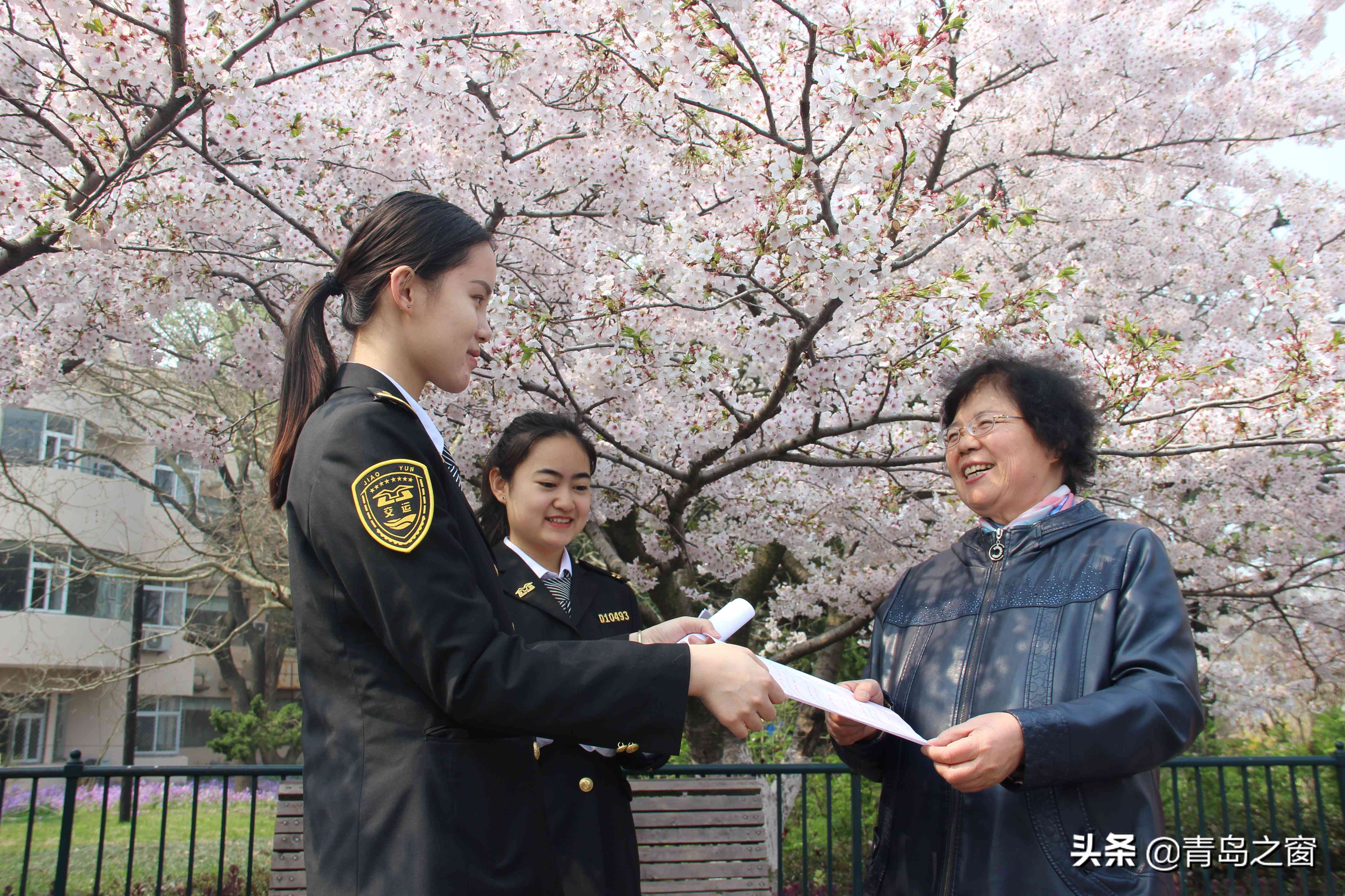 最新旅游活动中人身伤害赔偿细则与标准解读