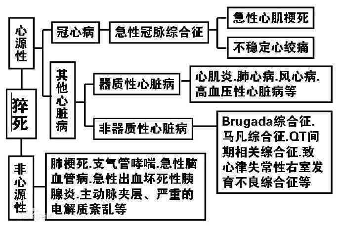 单位组织旅游期间意外伤害是否属于工伤认定及赔偿解析