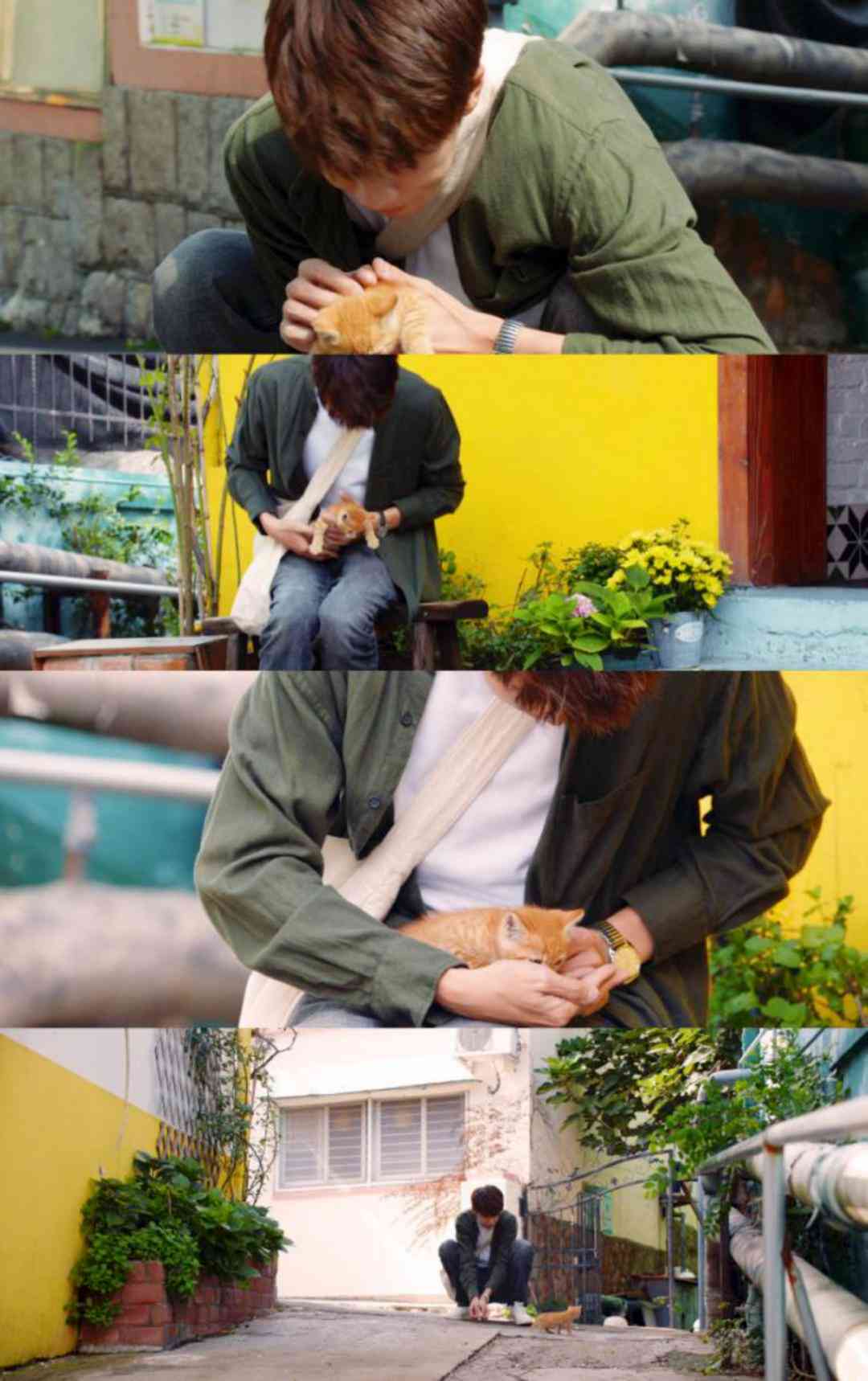 探究写作猫平台是否收取费用及服务详情