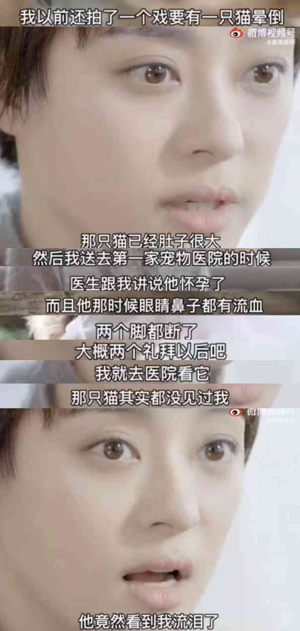 神秘发光小猫：揭秘其成因、特点与照顾指南