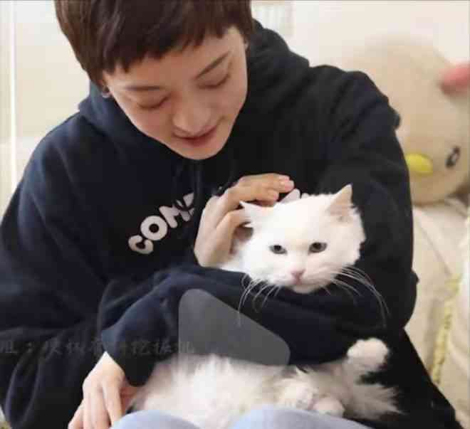 神秘发光小猫：揭秘其成因、特点与照顾指南