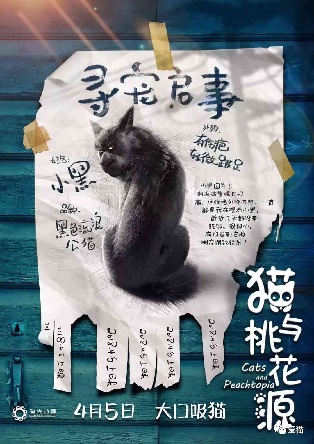 ai猫发光文案