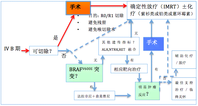 '对于无治疗前景患者的关怀与合理处理策略'
