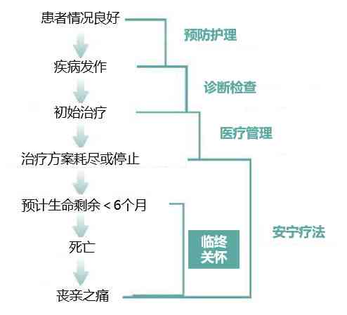'对于无治疗前景患者的关怀与合理处理策略'