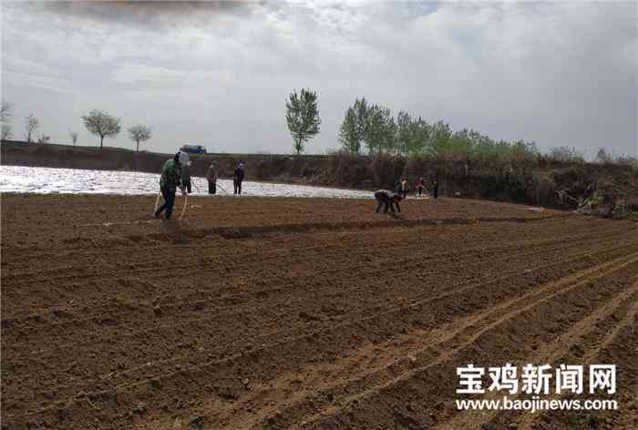 '对于无治疗前景患者的关怀与合理处理策略'