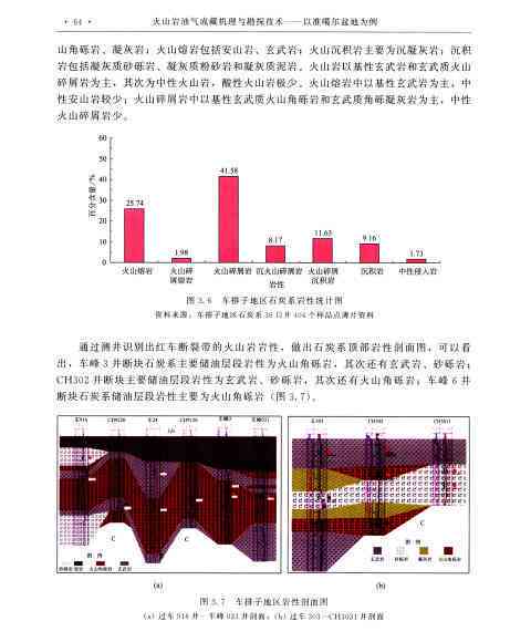 火山活动研究综合参考文献汇编：地质、监测与风险评估领域关键文献综述