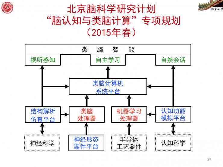 深入探索大脑与人工智能：揭秘认知机制与未来技术融合之路
