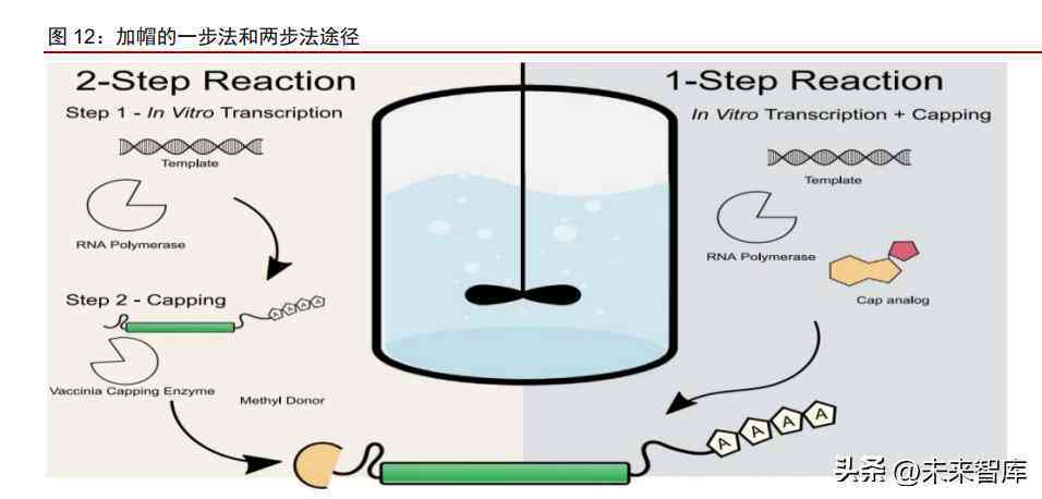 设计报告ai
