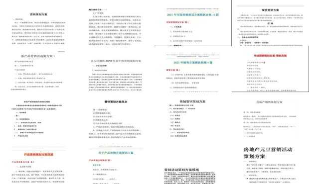 移动营销方案模板：撰写范例与写作指导