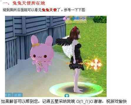 与兔子共舞：探索亲密互动的魅力