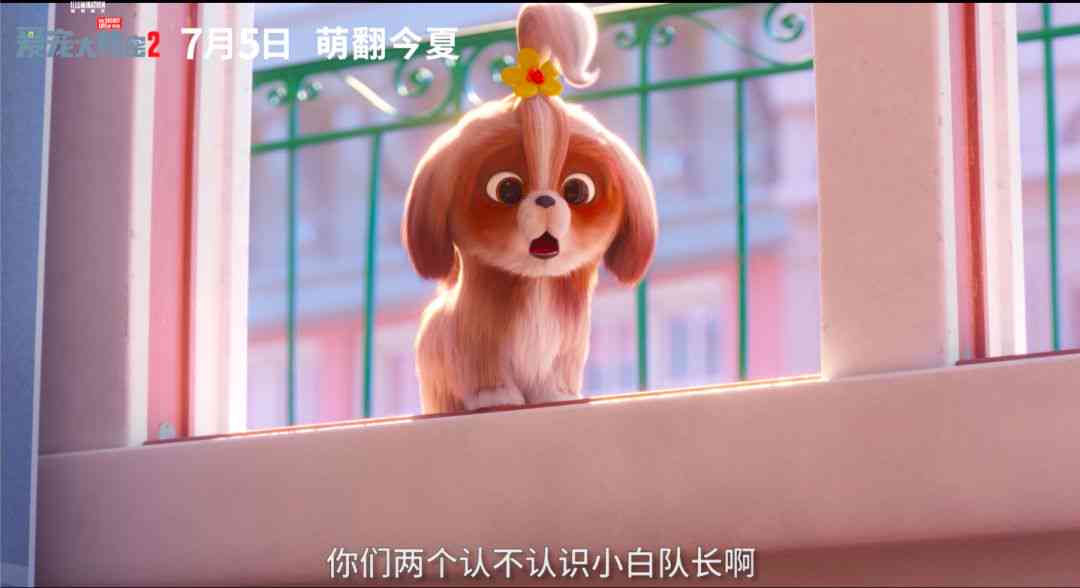 柔抚抱，与小兔子共度馨时光