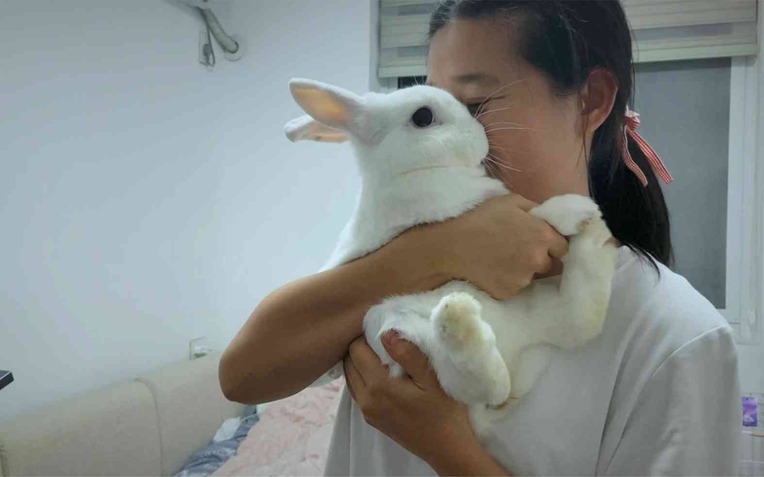 柔抚抱，与小兔子共度馨时光