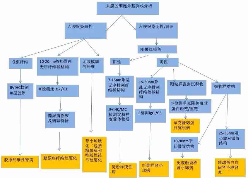 全面解读既往病的认定标准与流程：涵常见疑问与案例分析