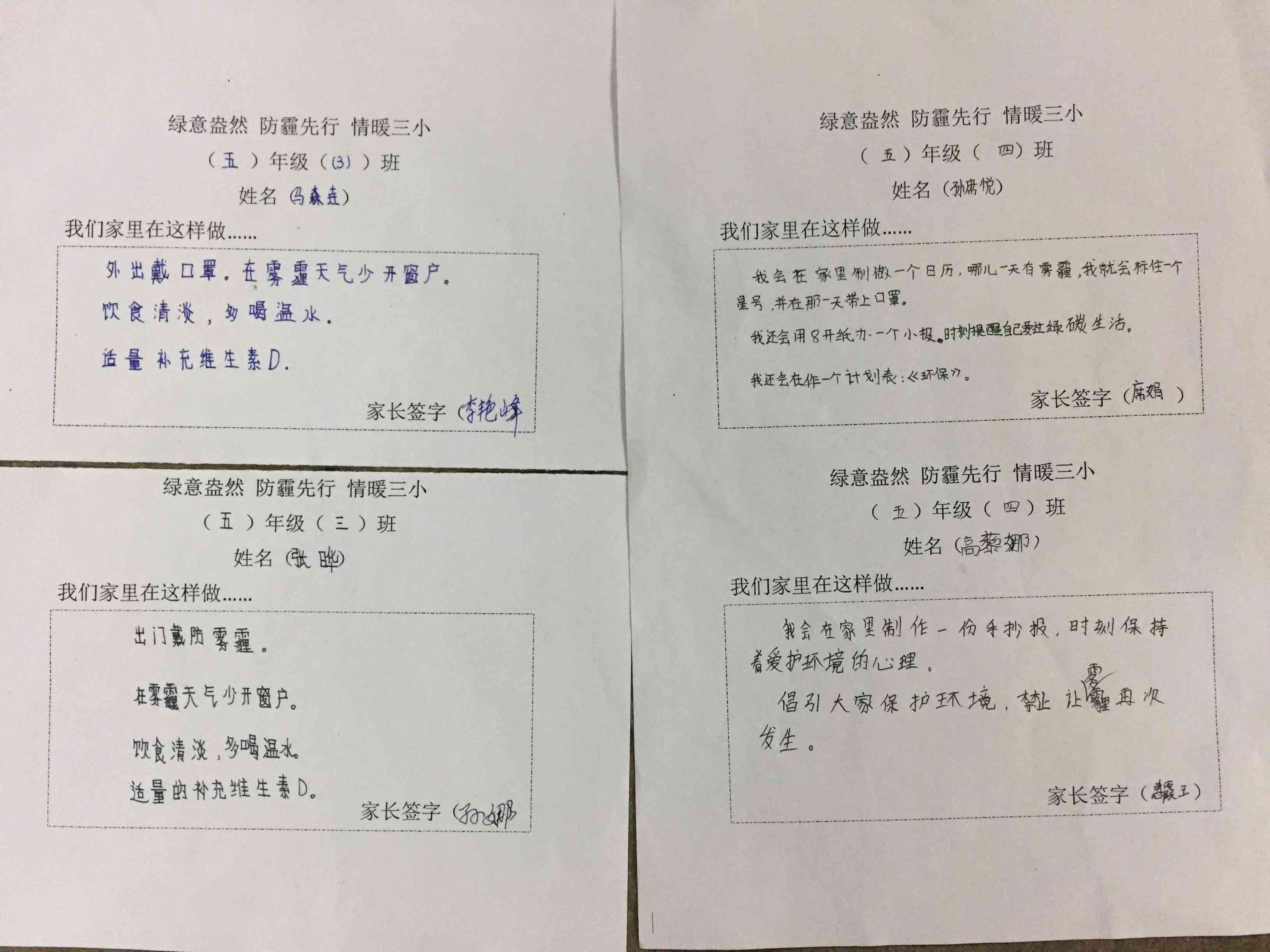 小绿的作文：作文网日记与绿意盎然的小绿龟练笔
