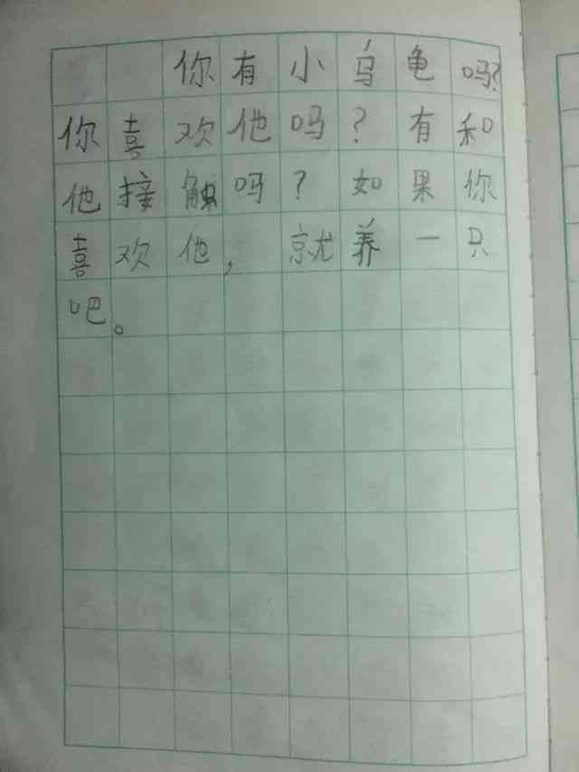 小绿的作文：作文网日记与绿意盎然的小绿龟练笔
