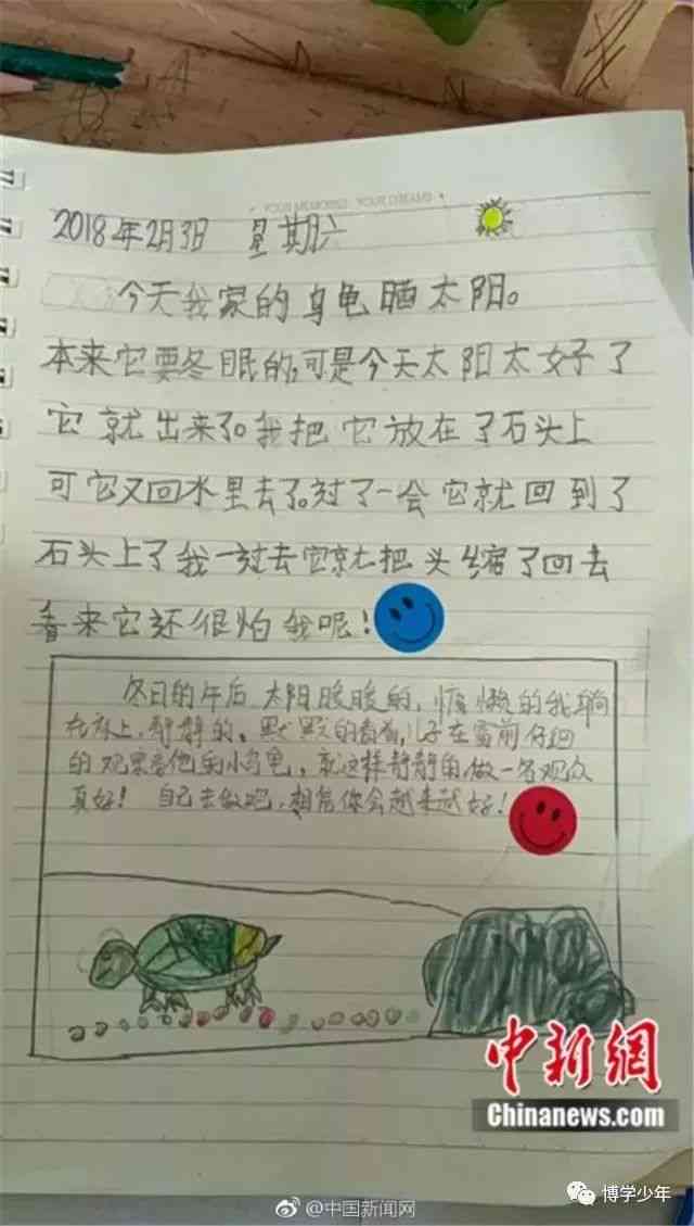 小绿的作文：作文网日记与绿意盎然的小绿龟练笔