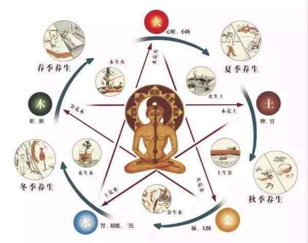 探讨旧疾复发与旧病复发的差异及常见相关问题解析