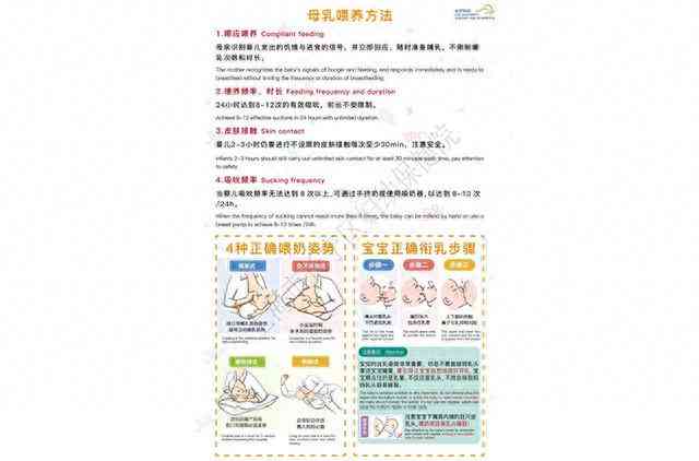 全面解析：AI用户画像实训报告撰写心得与关键技巧指南