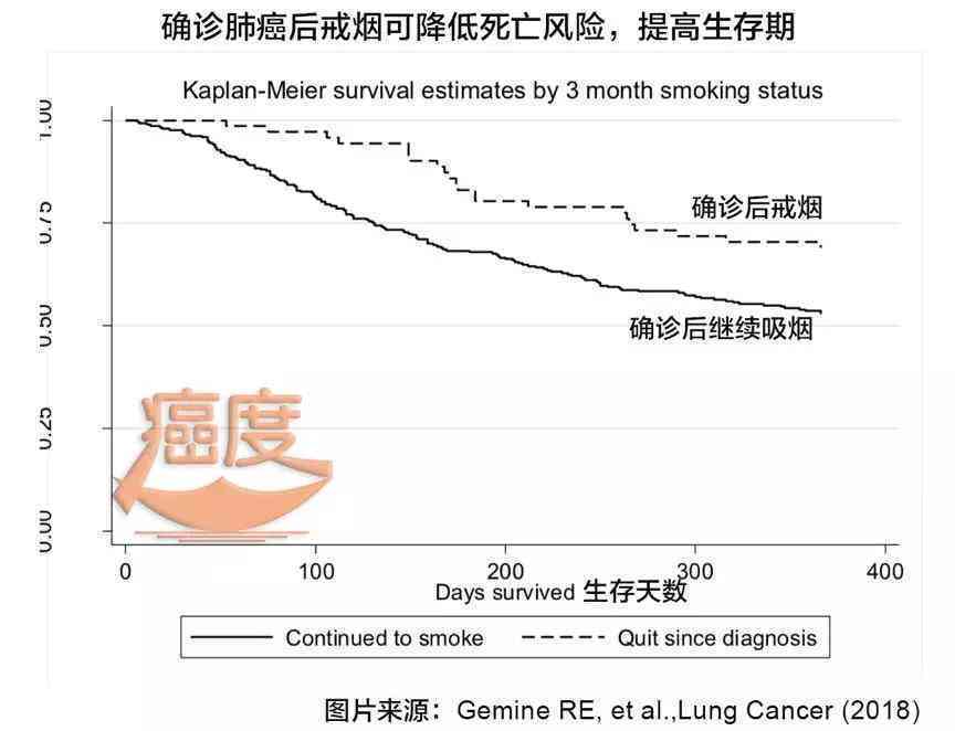 早期尘肺病患者寿命预期与治疗、生活方式等因素的关联分析