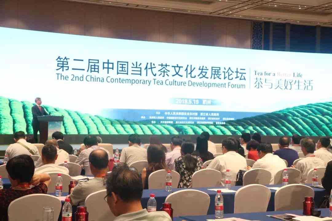 山西移民人群的全方位特征分析：历背景、文化传承与当代生活面貌