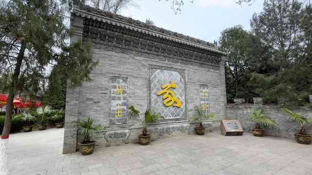 山西移民：山东迁移及人口统计特征与脚趾两半俗考究