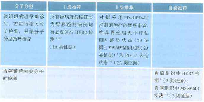 胃镜报告中C1C2标记缺失的原因解析
