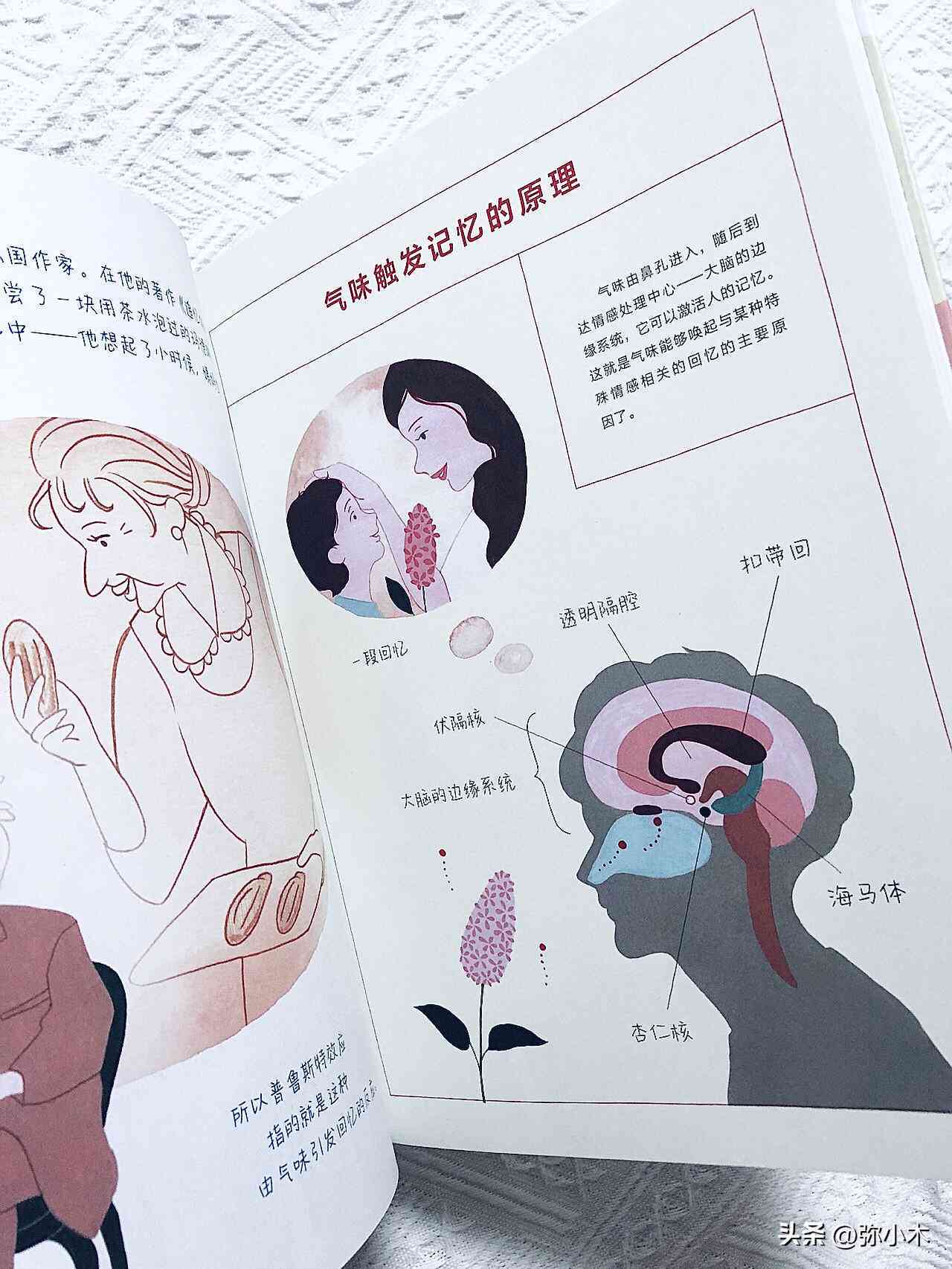 中国用AI写作的作家数量统计