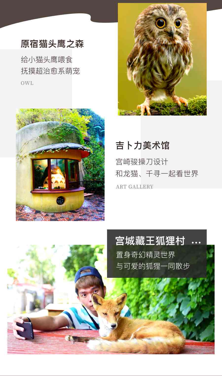 探索宫崎骏动画世界的经典文案与灵感