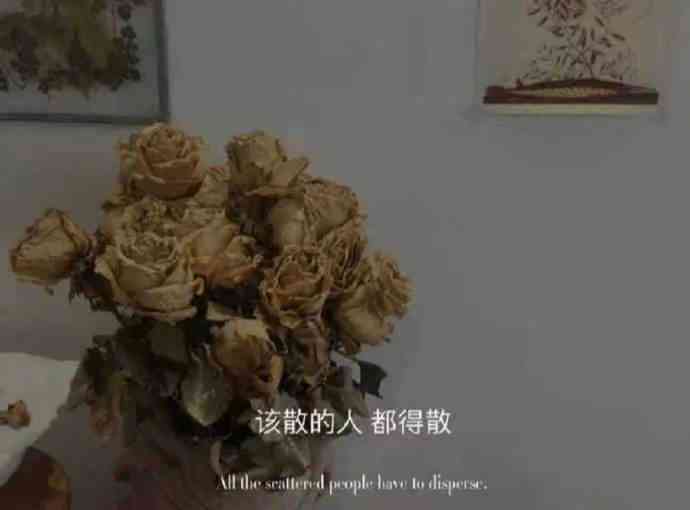 《宫崎骏经典动漫文案汇总：探索人生哲理与艺术魅力》