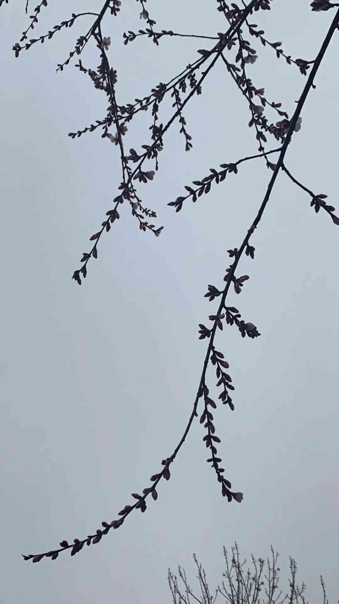 AI写作可以做什么项目赚钱：揭秘热门盈利项目与赚钱策略