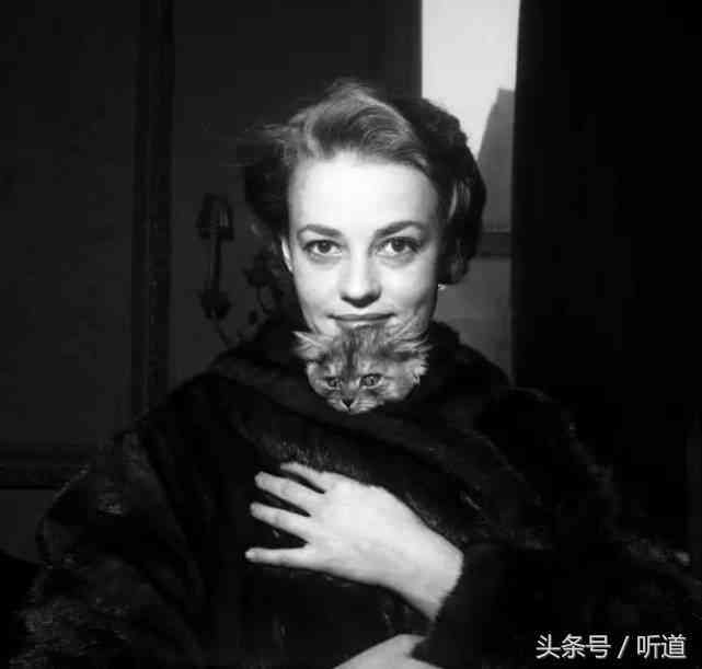 撰写报告总结部分的完整指南：涵结构、要点与撰写技巧