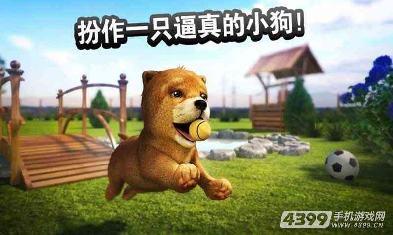 幼犬趣味模仿：小狗创意句子大     