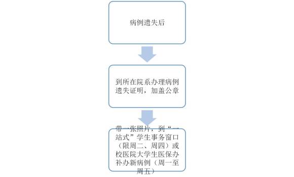 大学生在校身份认定指南：标准与流程详解