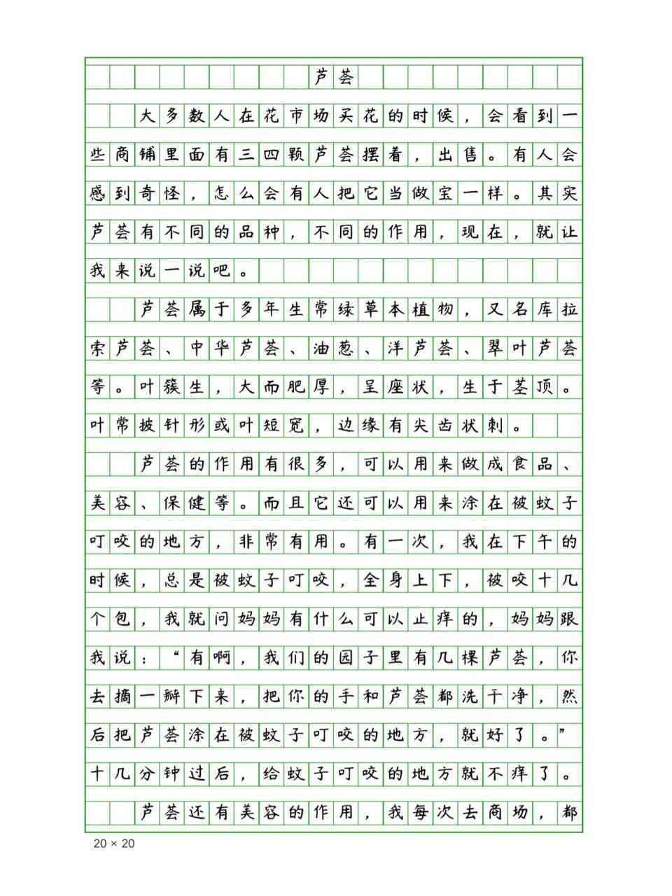 解说作文：四百至八百字大全