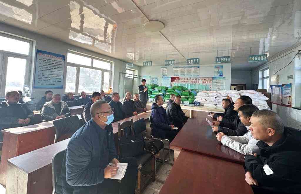 QQ小冰经典与实用对话语句大     ：全面解答用户沟通需求