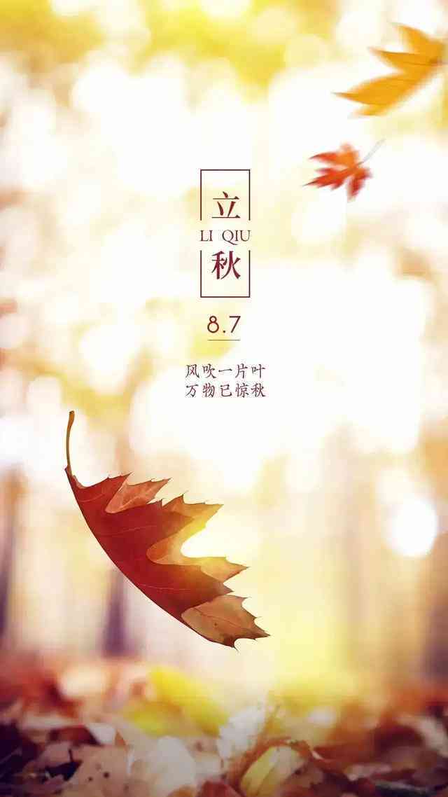 秋天的思念文案：唯美短句与简短诗句撰写指南