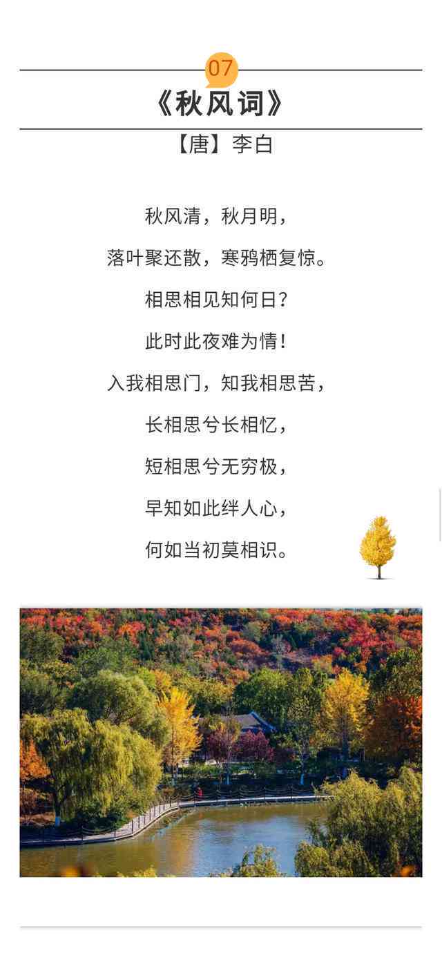 秋天的思念文案：唯美短句与简短诗句撰写指南