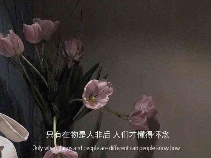 一别再无归期，你长眠我常念文案：从此别离无期，愿君安好常怀念